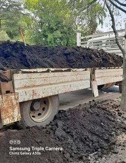 Roll on lawn Lm Berea grass