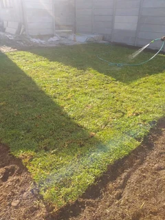 quality installation off national grass