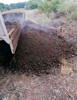 quality installation off national grass