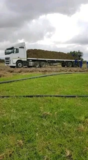 Delivery and installa off buffalo grass weed free