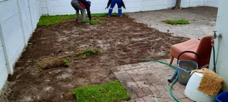 Delivery and installa off buffalo grass weed free