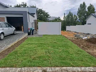 Delivery and installa off buffalo grass weed free