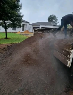 Roll on lawn Lm Berea grass