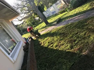 Roll on lawn Lm Berea grass