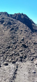 Delivery and installa buffalo grass weed free