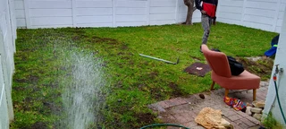 Delivery and installa buffalo grass weed free