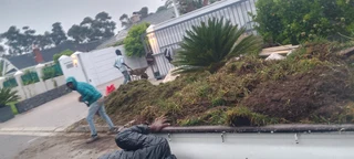 Delivery and installa buffalo grass weed free