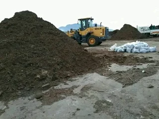 Roll on lawn Lm Berea grass