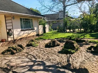 Roll on lawn Lm Berea grass