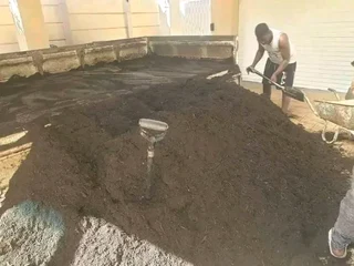 quality  grass delivery and installa Lm Berea grass and buffalo grass