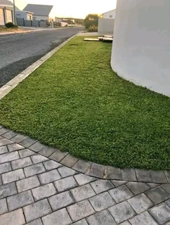 quality  grass delivery and installa Lm Berea grass and buffalo grass