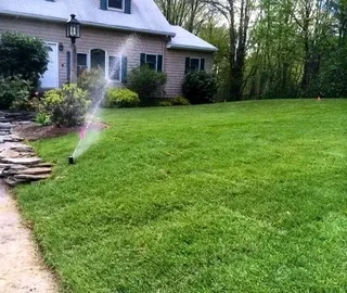 Roll on lawn Kikuyu grass