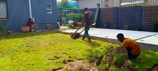 Roll on lawn Kikuyu grass