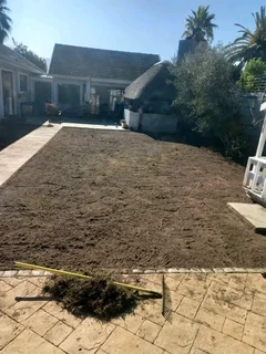 Delivery and installa buffalo grass