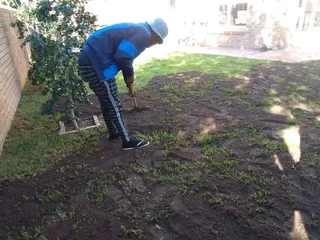 Delivery and installa buffalo grass