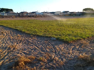 Delivery and installa buffalo grass