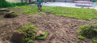 Roll on lawn Kikuyu grass