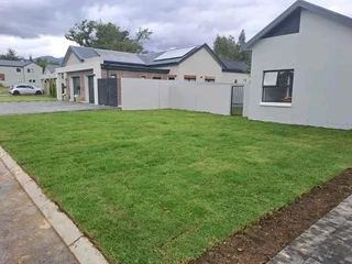Roll on lawn Kikuyu grass