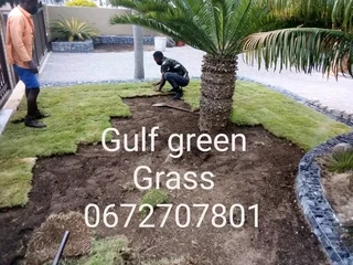 Roll on lawn Kikuyu grass