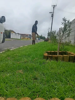 Delivery and installa Lm Berea grass and Kikuyu grass