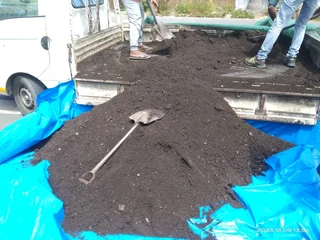 Delivery and installa Lm Berea grass and Kikuyu grass