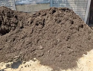 Delivery and installa Lm Berea grass and Kikuyu grass