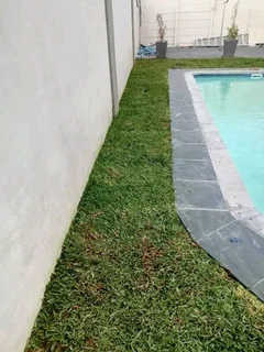 quality installation off  buffalo grass