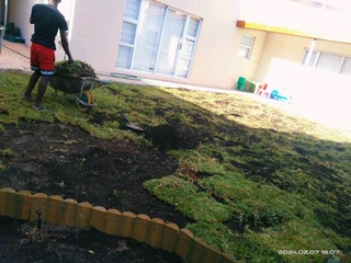 quality installation off  buffalo grass