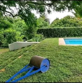 Delivery and installa roll on lawn Kikuyu grass