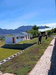 Delivery and installa roll on lawn Kikuyu grass