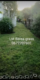 We do supply and installa Lm Berea grass
