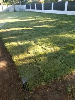 We do supply and installa Lm Berea grass