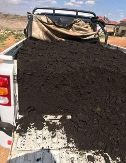 Roll on lawn Lm Berea grass and Kikuyu grass