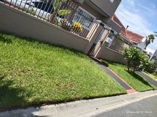 We do supply and installa buffalo grass