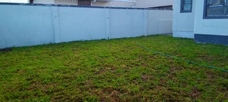 We do supply and installa buffalo grass
