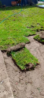 We do supply and installa buffalo grass