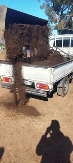 We do supply and installa buffalo grass