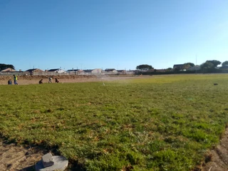 Roll on lawn Kikuyu grass and buffalo grass