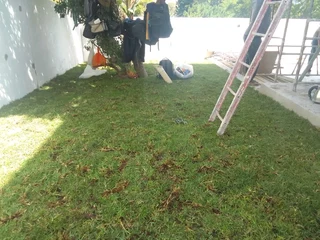 Roll on lawn Kikuyu grass and buffalo grass