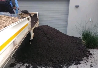 Delivery and installa buffalo grass