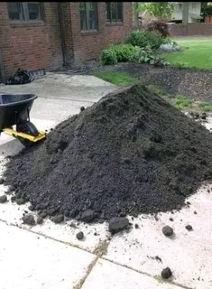 Roll on lawn Lm Berea grass