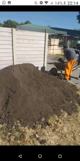 Roll on lawn Lm Berea grass