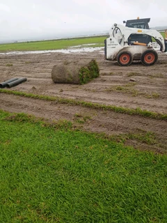 Supply and installa national grass