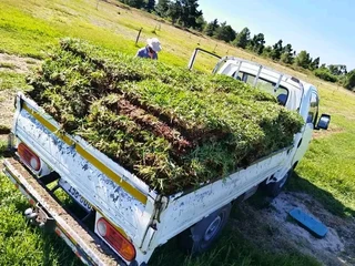 Supply and installa national grass