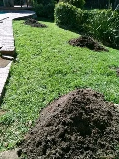 Supply and installa national grass