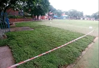 Kikuyu grass and buffalo grass  top soil and compost weed free