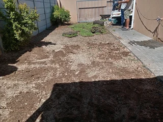 Kikuyu grass and buffalo grass  top soil and compost weed free