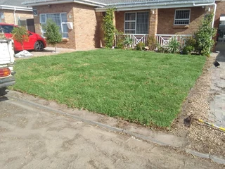 Kikuyu grass and buffalo grass  top soil and compost weed free