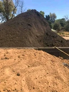 Roll on lawn Lm Berea grass