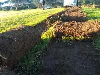 Delivery and installation off national grass